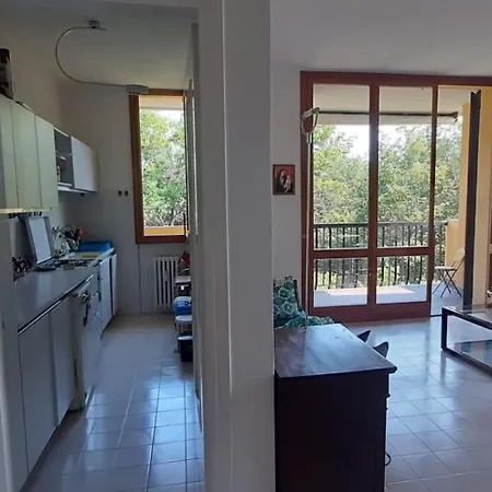 Apartman Wonderful In The Pine Forest *